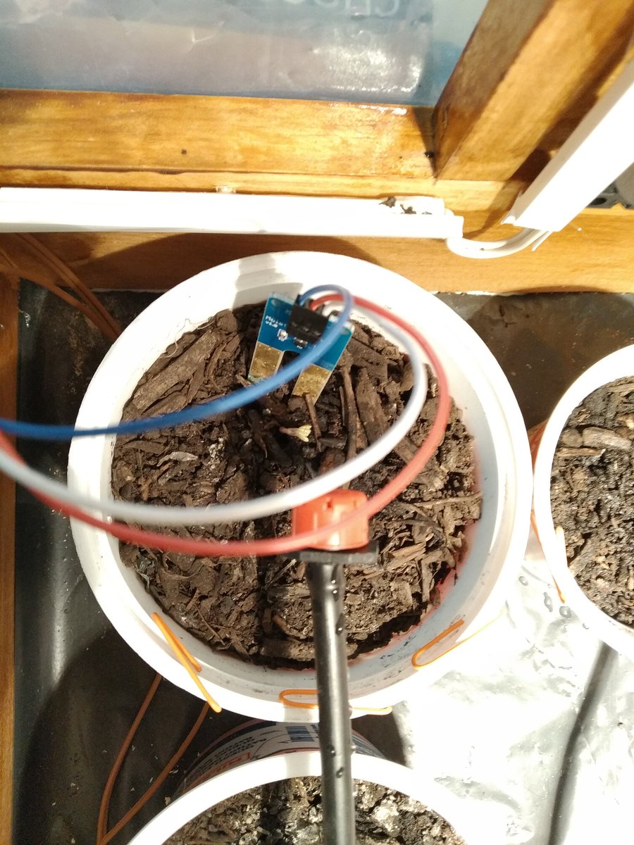 Parece que hay otras dos que se estan animando a salir <a href="/agardebu/">Aurea Garde</a>