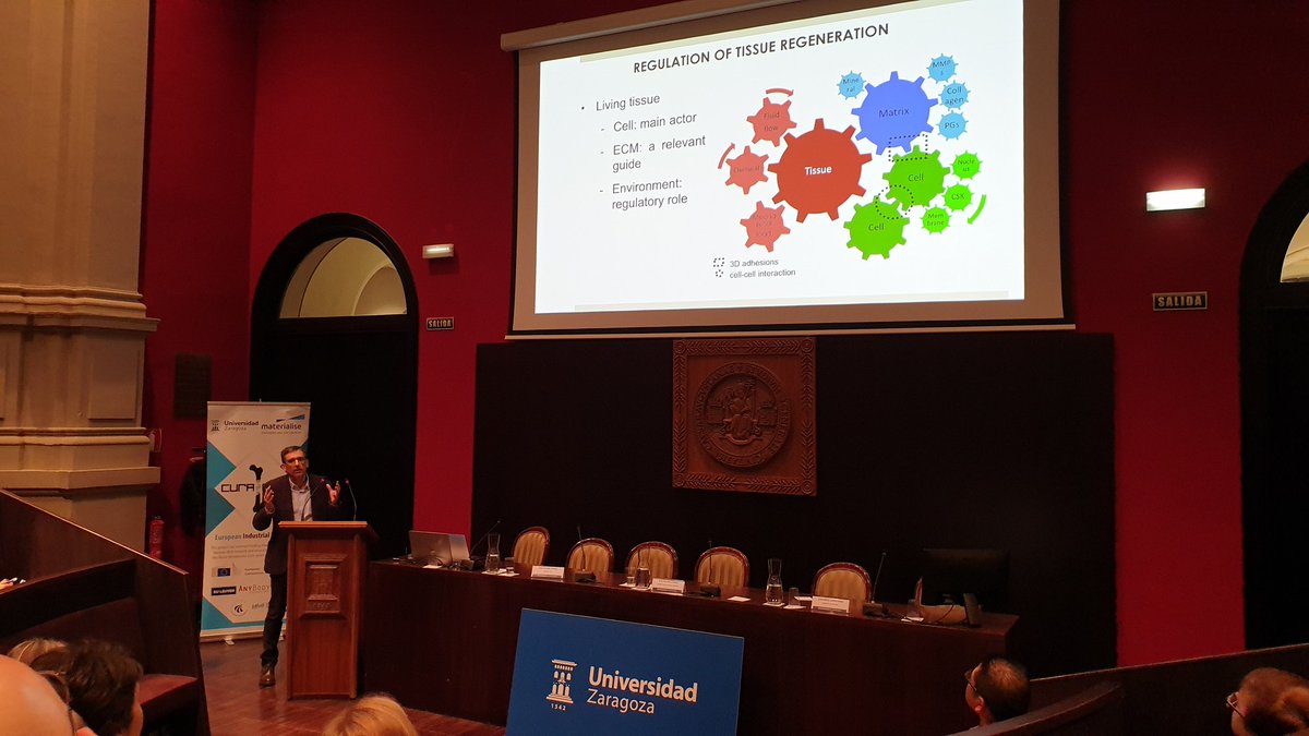 curabone's tweet photo. First talk of our workshop on Bone Mechanics and Tissue Engineering. We start with prof García-Aznar talking about scaffold design in Bone Tissue Engineering #BoneZaragoza #MCSA #H2020 #CuraBone https://t.co/bUaG4VvaFA