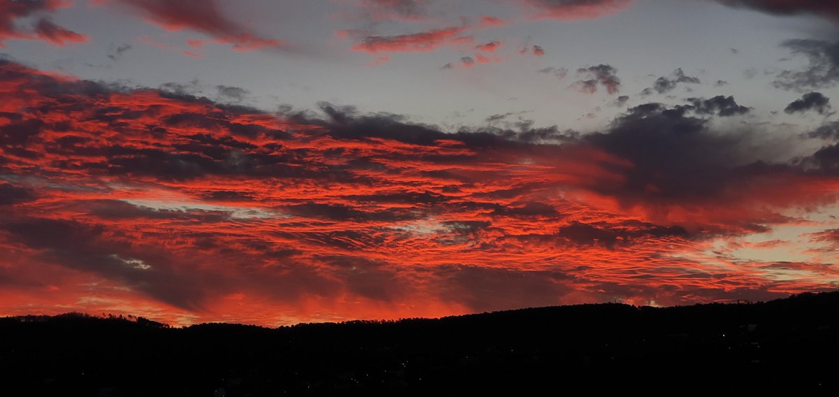 Smilegot 📷 tweet media