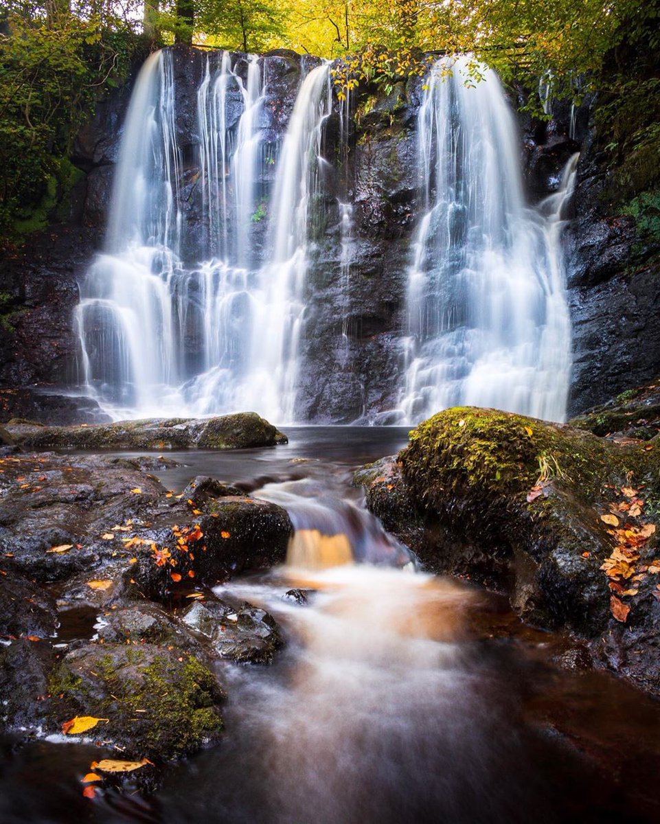 Bout_Yeh's tweet image. FRESH. Beautiful tones of winter, at Glenariff Forest Park, County Antrim. Time for a wee visit, wethinks 🙂 Beautiful photo by nathan.thompson24 IG id. BOUTYEH.com #glenariff #autumn #falltones #countyantrim #northernireland #boutyeh