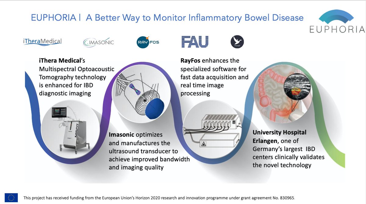 EUPHORIAH2020's tweet photo. @iTheraMedical leads @RayFos, #IMASONIC, @UniFAU and @PintailLimited in a €2.3m #FastTracktoInnovation research project: @EUPHORIAH2020 to advance inflammatory bowel imaging technologies @EU_H2020
https://t.co/pPyjrlyiiw #MSOT #IBD #diagnosticimaging #gastroenterology @UniFAU https://t.co/kNnSUB4Nbr