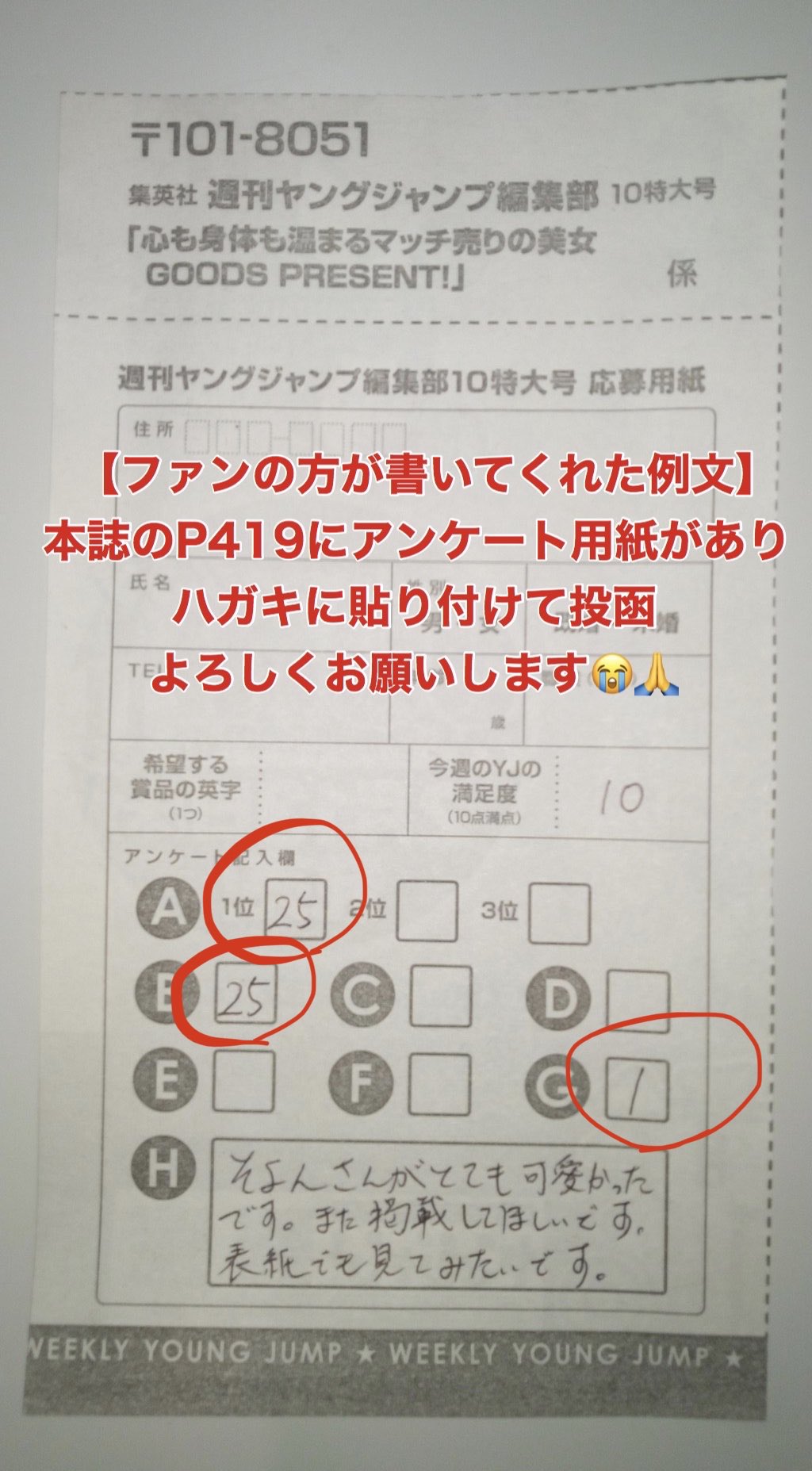 最終決算 週刊ヤングジャンプ アンケート用紙 2枚 abamedyc.com