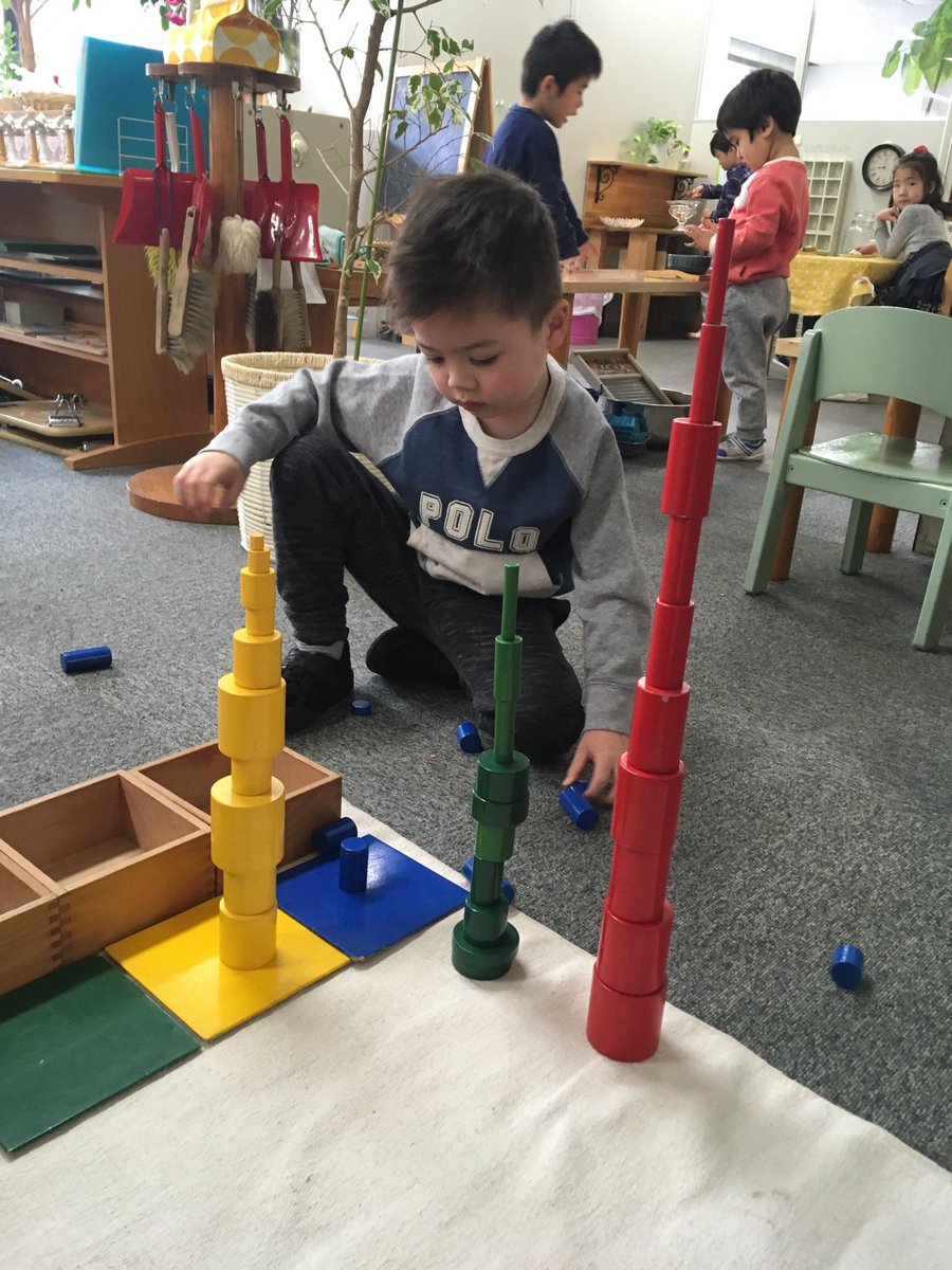MSTokyoCedar's tweet photo. Exploration and deep concentration! #MSTconcentration #MSTsensorial #MSTsunshine https://t.co/Q74oTyeS8T