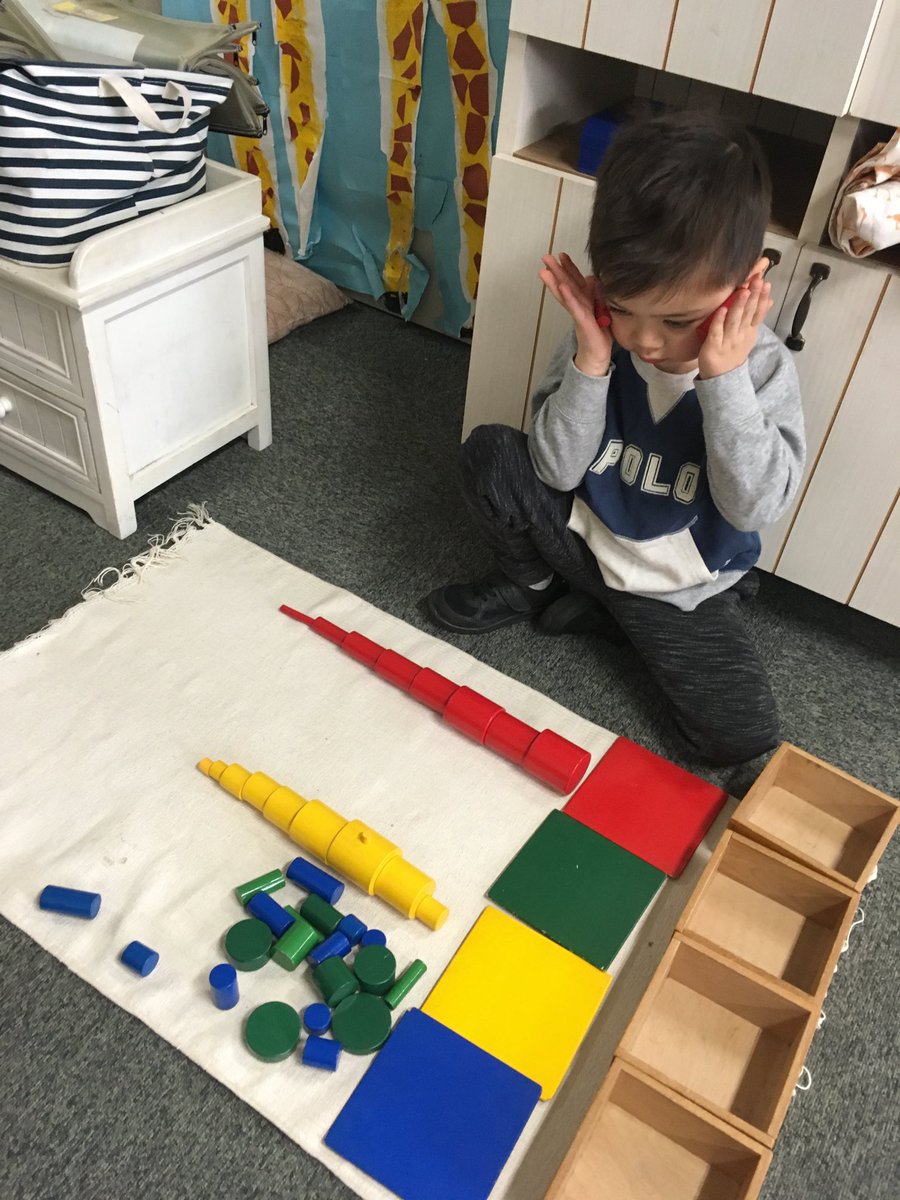 MSTokyoCedar's tweet photo. Exploration and deep concentration! #MSTconcentration #MSTsensorial #MSTsunshine https://t.co/Q74oTyeS8T