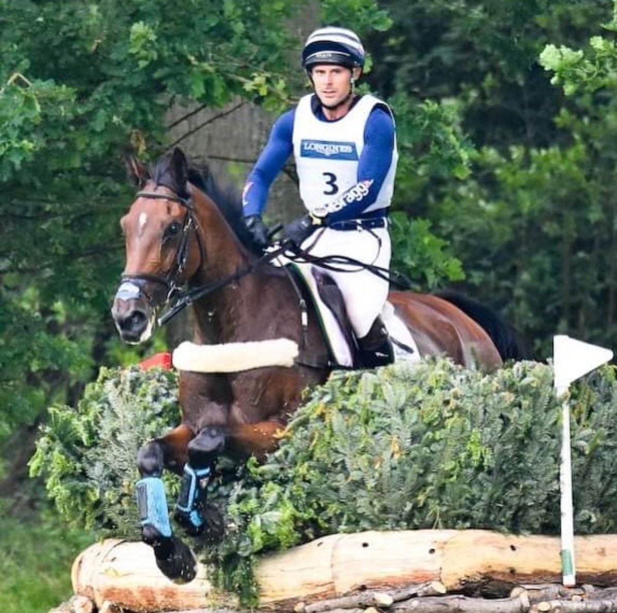 Better4Hooves tweet media