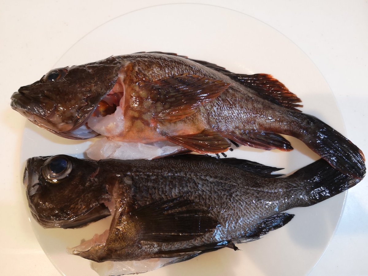 アラカブ Twitter Search