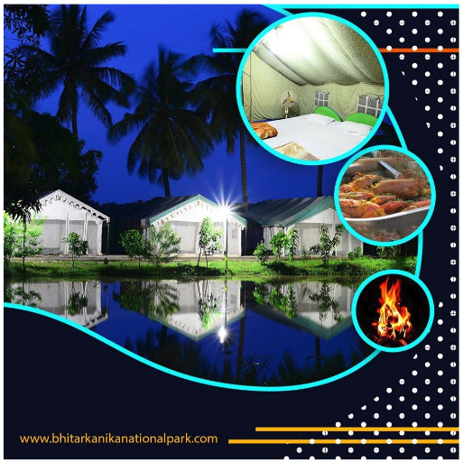 Bhitarkanika's tweet photo. #BhitarkanikaJungleResorts offers you great accommodations along with some mouth watering food, bonfire, scenic boat cruising, Theme based entertainment and many more at an affordable price. So, without wasting a sec, reserve your slot for your upcoming holiday.  #EcoTourOdisha https://t.co/keGBvW9D3r