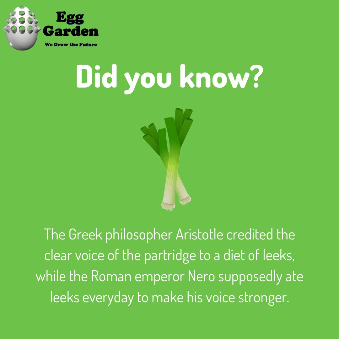 Egg Garden (@The_EggGarden) / Posts / X