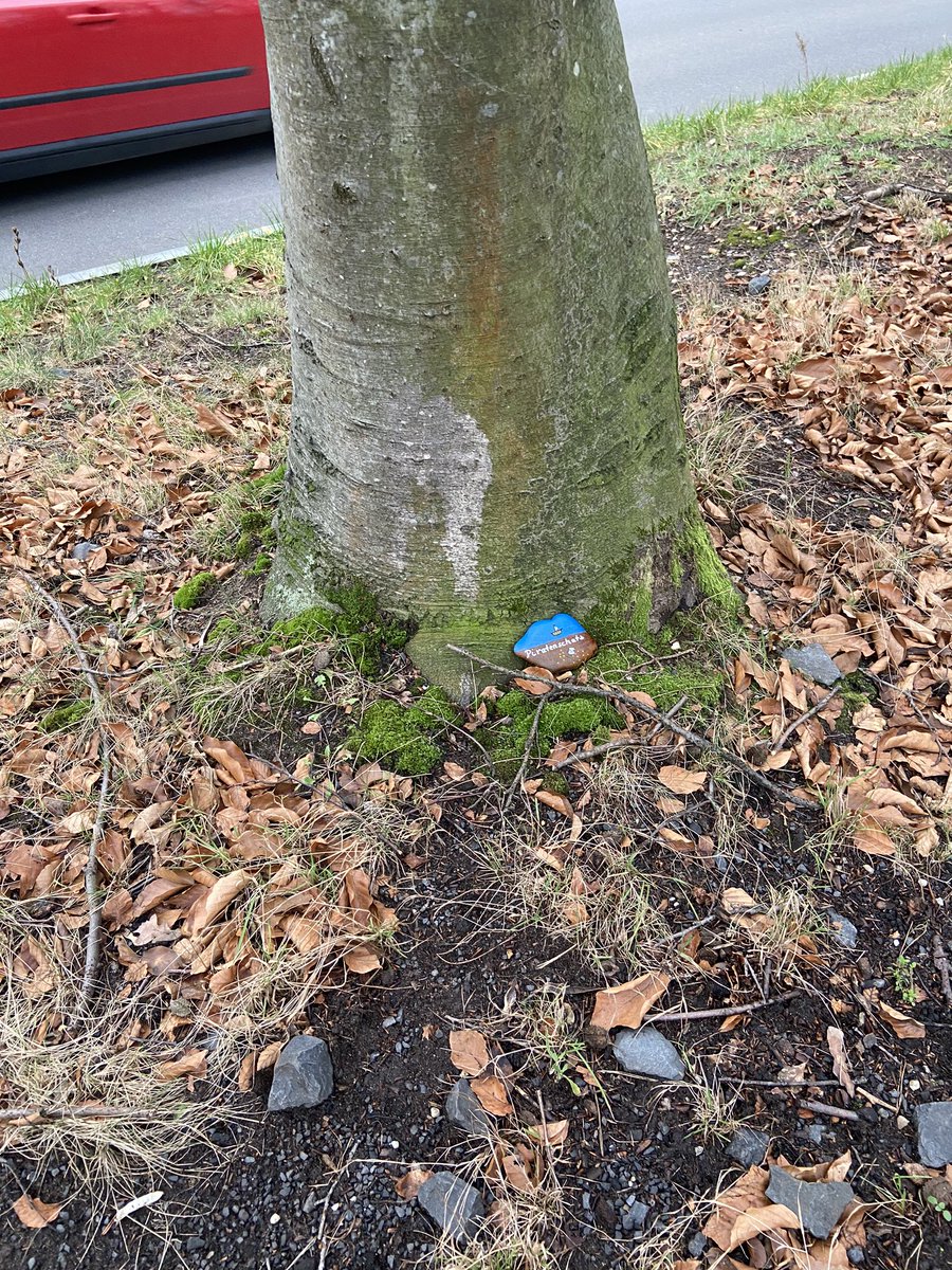 Terrilein's tweet photo. Heute in Köln-Wahn gefunden #westerwaldsteine #droparock #paintedrocks https://t.co/e1kQ5gRWnW