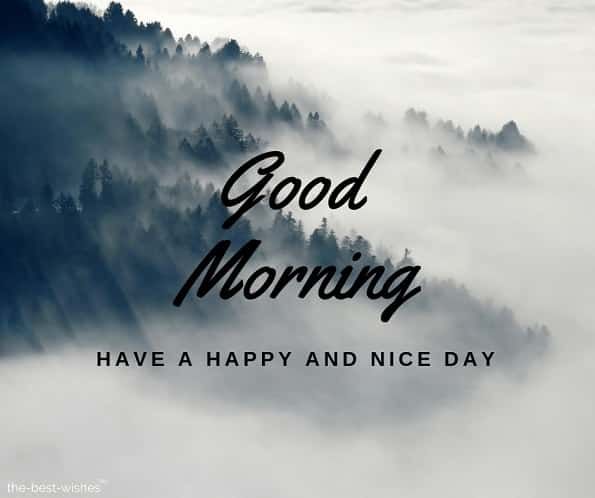MDCEnglish54's tweet photo. Good morning to all!

It was very foggy outside this morning but thankfully it has cleared up and there are lovely blue skies, with a cold chill.
I love this weather!

We are open 9-5 today. Pop in and have a chat.

Have a good day! https://t.co/tBoGlAulbU