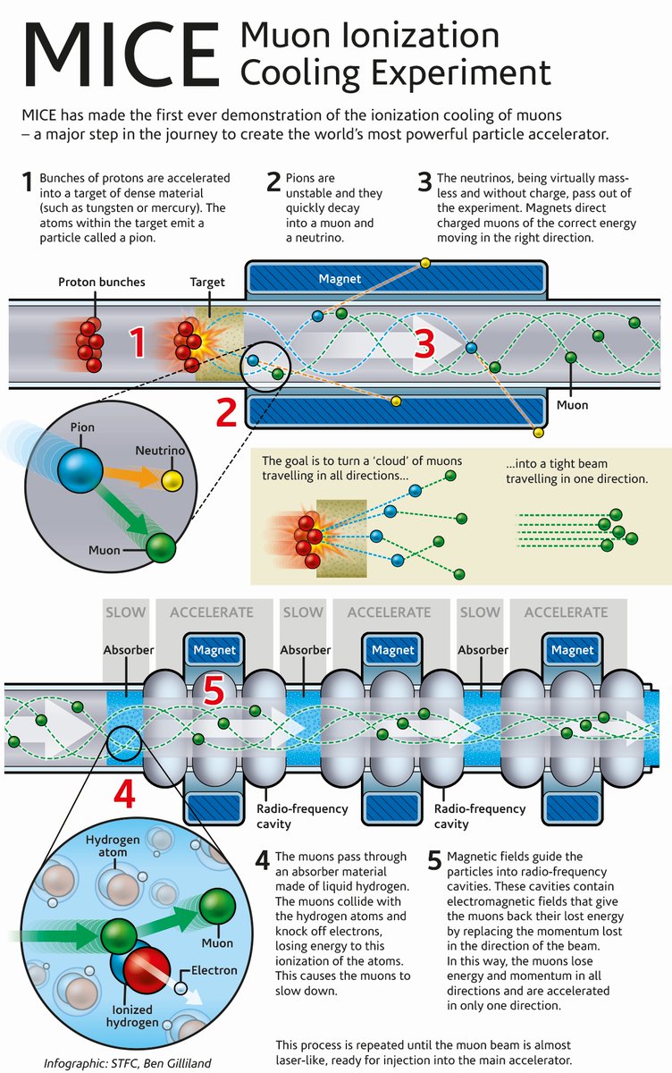 The most powerful new particle accelerator could be a muon collider - read about how our <a href="/UofGPhysAstro/">UofG PhysAstro</a> researchers have contributed to groundbreaking research with <a href="/STFC_Matters/">Science and Technology Facilities Council</a>: gla.ac.uk/news/headline_…