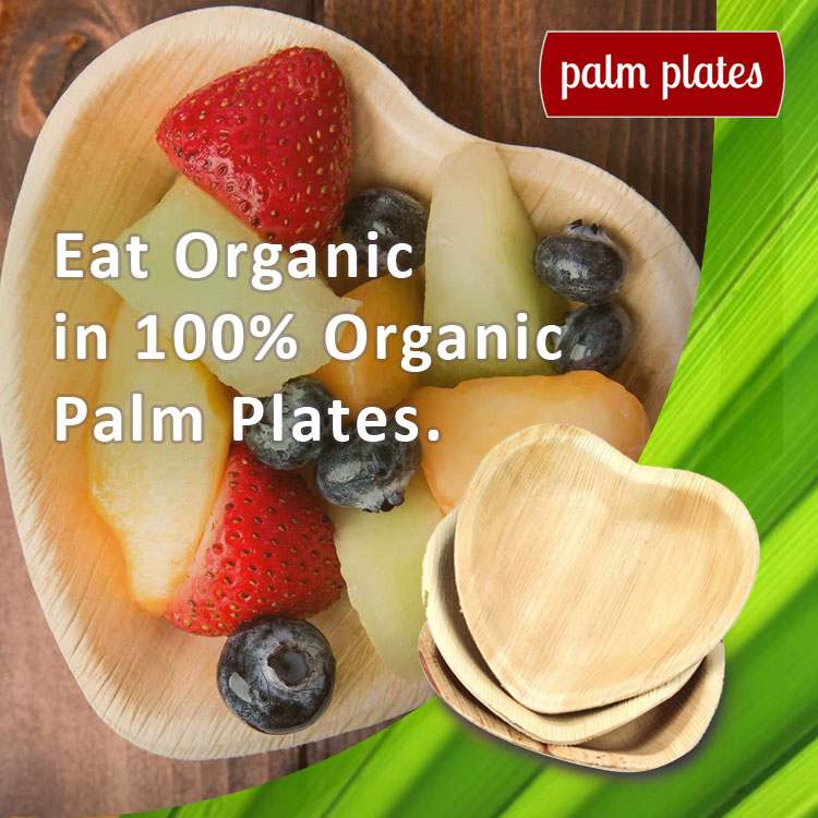 Be Healty by Eating Organic, and We will help you to Eat in Organic Palm Plates, So Order now at

palmplatesindia.com

#nature #disposableplates #weddingplates #partyplates #thanksgivingplates #servingplaters #disposableserving #disposabledinerware #disposablepartyplates