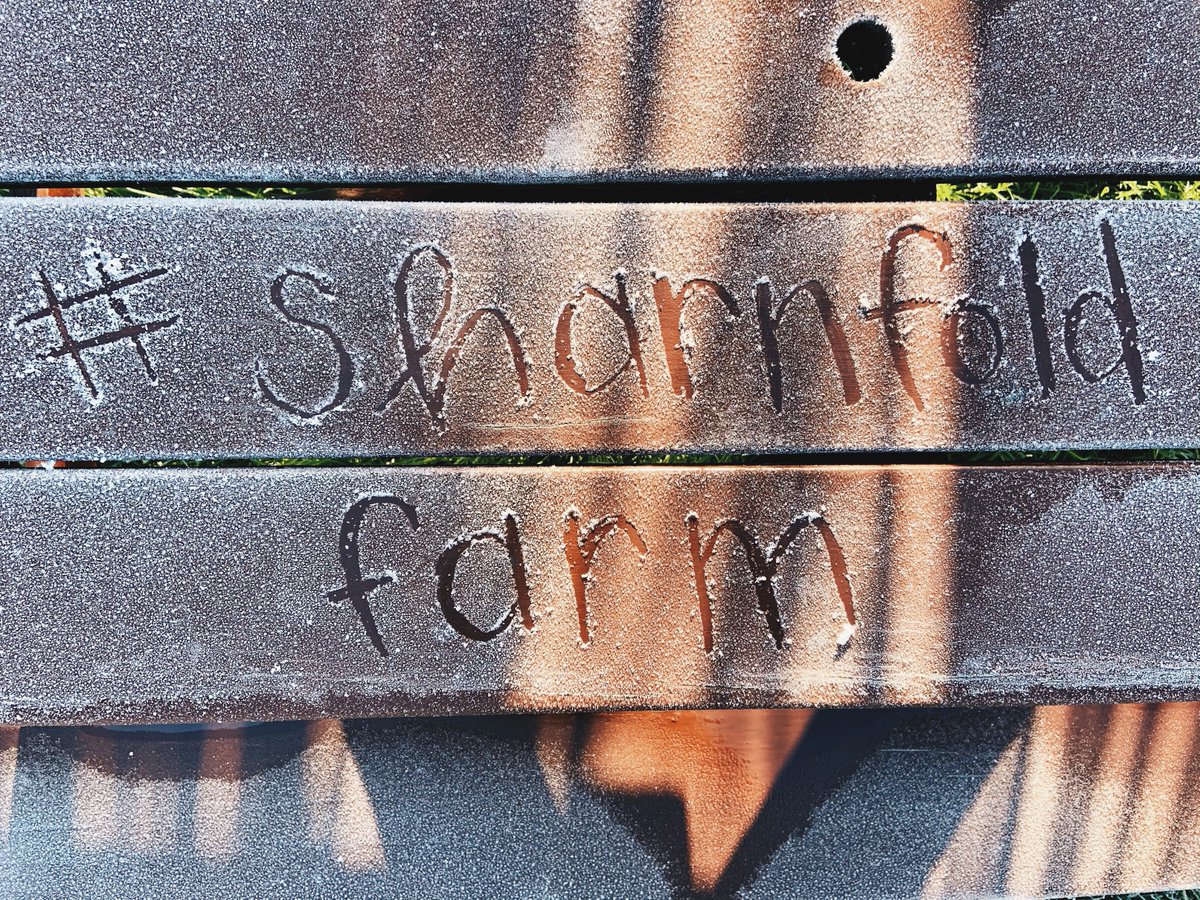 We Love seeing your photos of the farm! Don't forget to tag us and #sharnfoldfarm 🚜