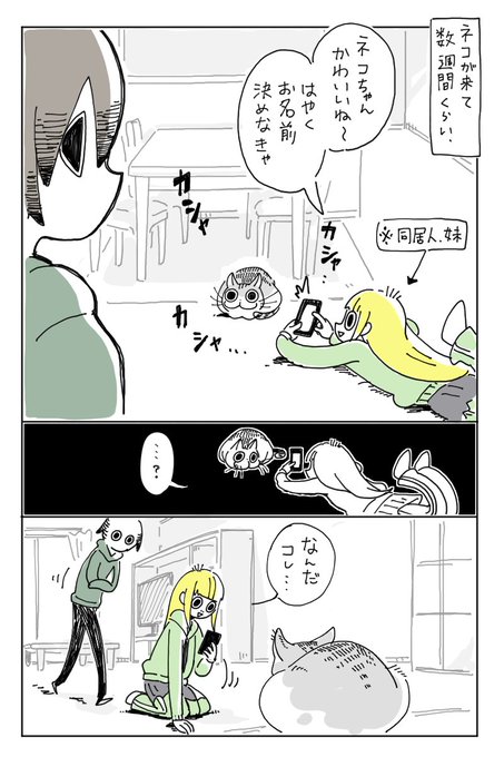 スマホで猫を撮影中 二次元コード が出現 そのまま読み取ってみると ニコニコニュース