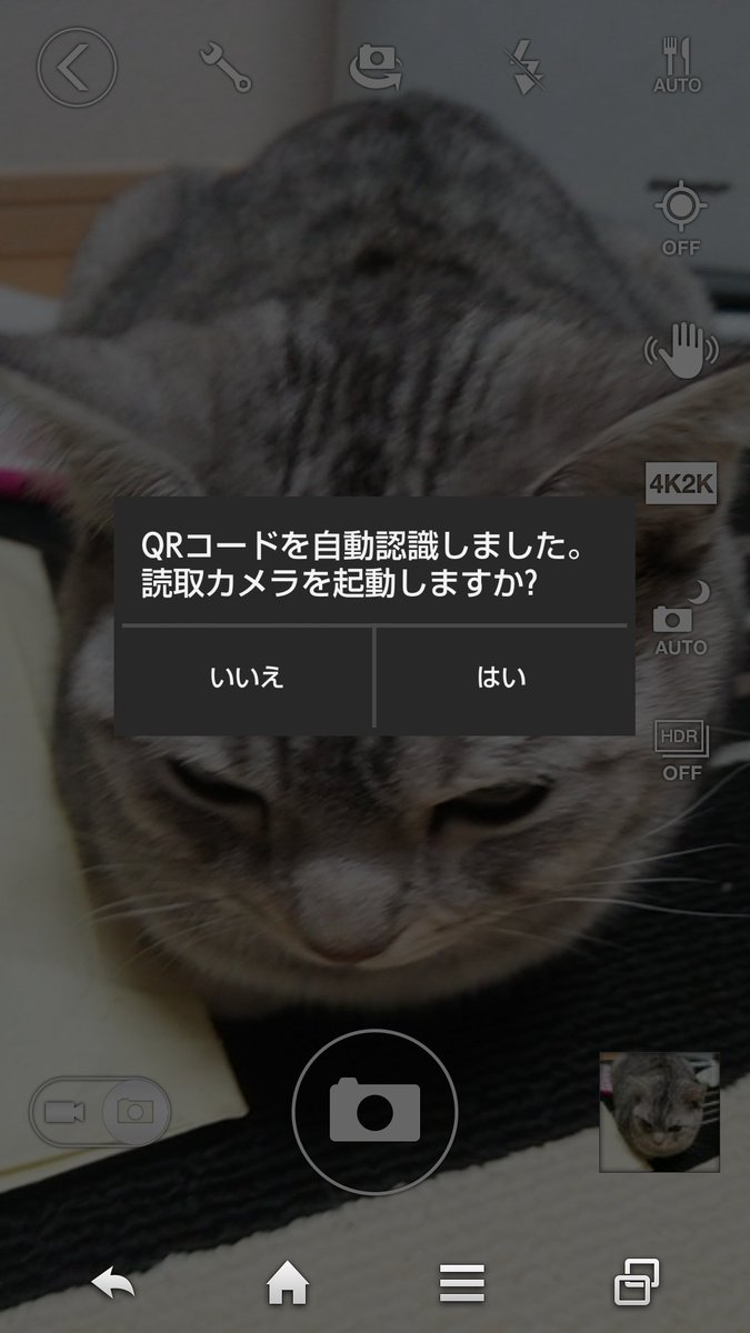 額に模様がある猫さんを撮ってたらスマホに Qrコード だと認識されちゃった 読み取れたら何考えてるかわかる Togetter 額に模様がある猫さんを撮ってたらスマホに Qrコード だと認識されちゃった 読み取れたら何考えてるかわかる Togetter