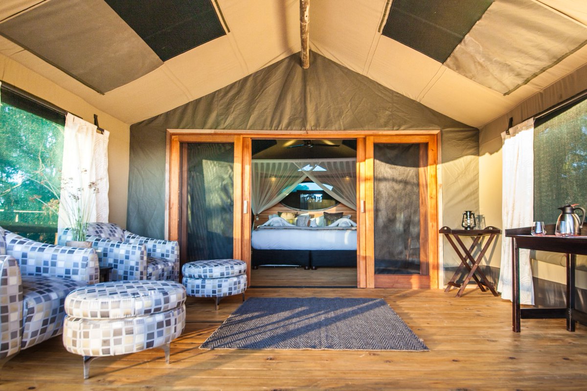 An unforgettable glamping safari awaits you at Rra Dinare.

What are you waiting for?

underonebotswanasky.com/botswana-lodge…

#safari #glamping #Botswana #Africa #travel #travelgoals #BUCKETLIST