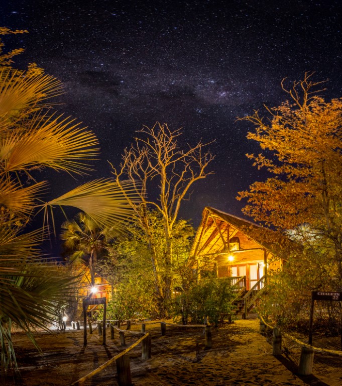 Who needs a 5-star hotel when you have an infinity of stars?

Nata Lodge is situated in a unique oasis close to the renowned Makgadikgadi Salt Pans.

Find our more here underonebotswanasky.com/botswana-lodge…

#safarilodge #safari #botswana #africa #travel #lodge