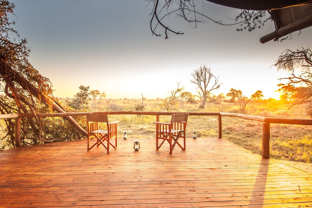 Come and relax and unwind in arguably the most majestic place on Earth, Botswana.

Discover our camps here: underonebotswanasky.com

#relax #unwind #safari #travel #botswana #africa #discover #discoverafrica #experience #safaricamp