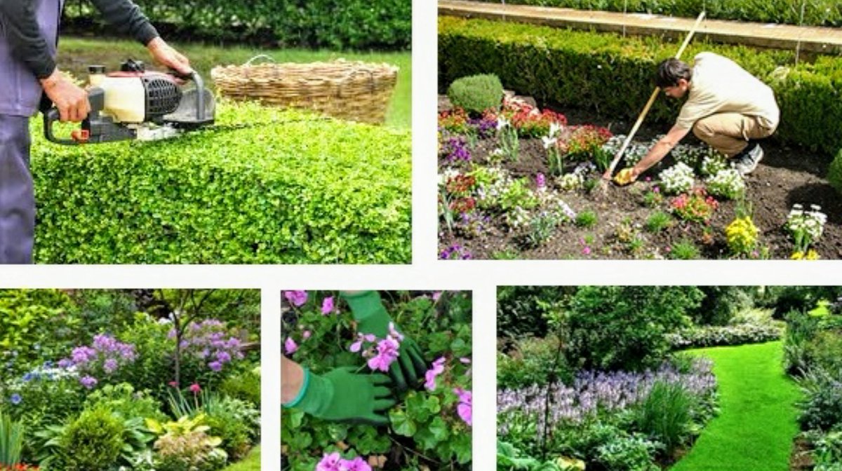AMJAandalucia's tweet image. LAS EMPRESAS DE JARDINERÍA GENERAN EN ANDALUCÍA MÁS DE 30.000 PUESTOS DE TRABAJO.
 amja.es/las-empresas-d…
#Amja #Jardineria #AndaluciaEnFlor