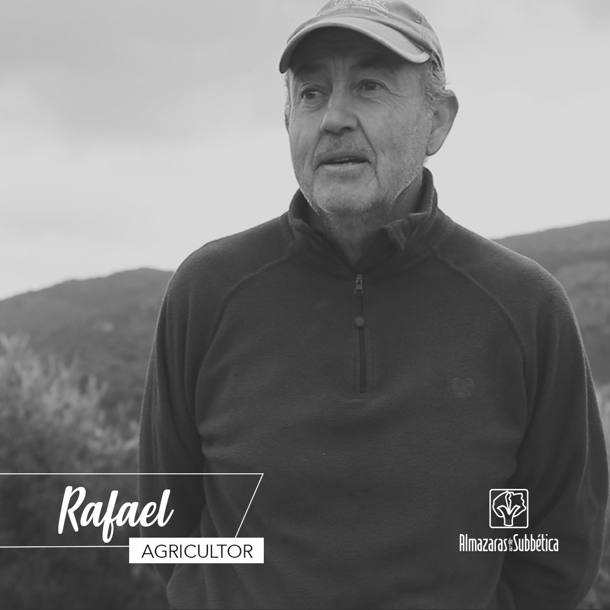 Almazaras de la Subbética tweet media