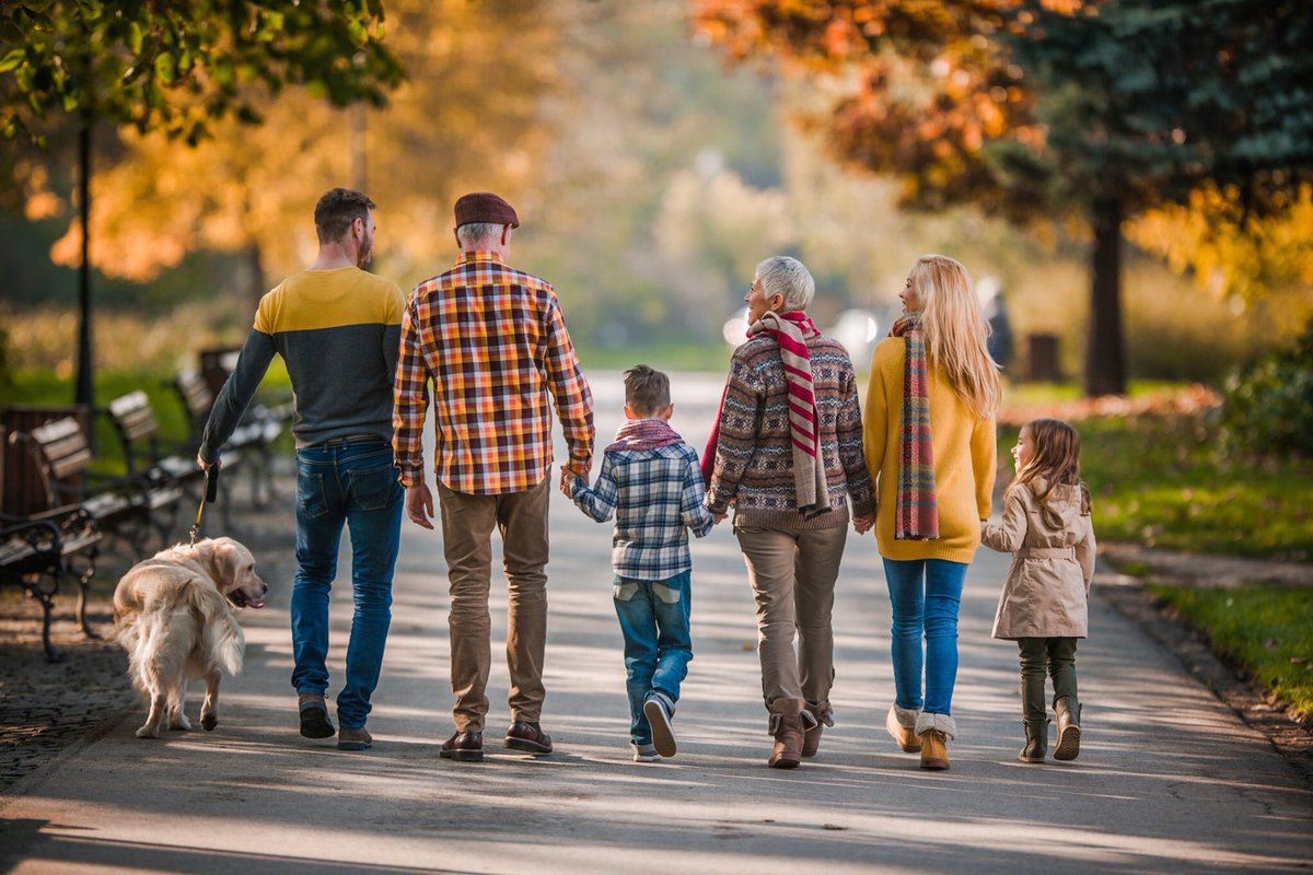 Alpha Guardians tweet media