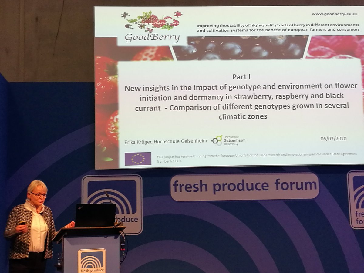 MezzettiB's tweet photo. #H2020 #GoodBerry 🔝 scientists explaining the effect of genotype and environment on berry cultivation in EU. https://t.co/Su3fVYaZno