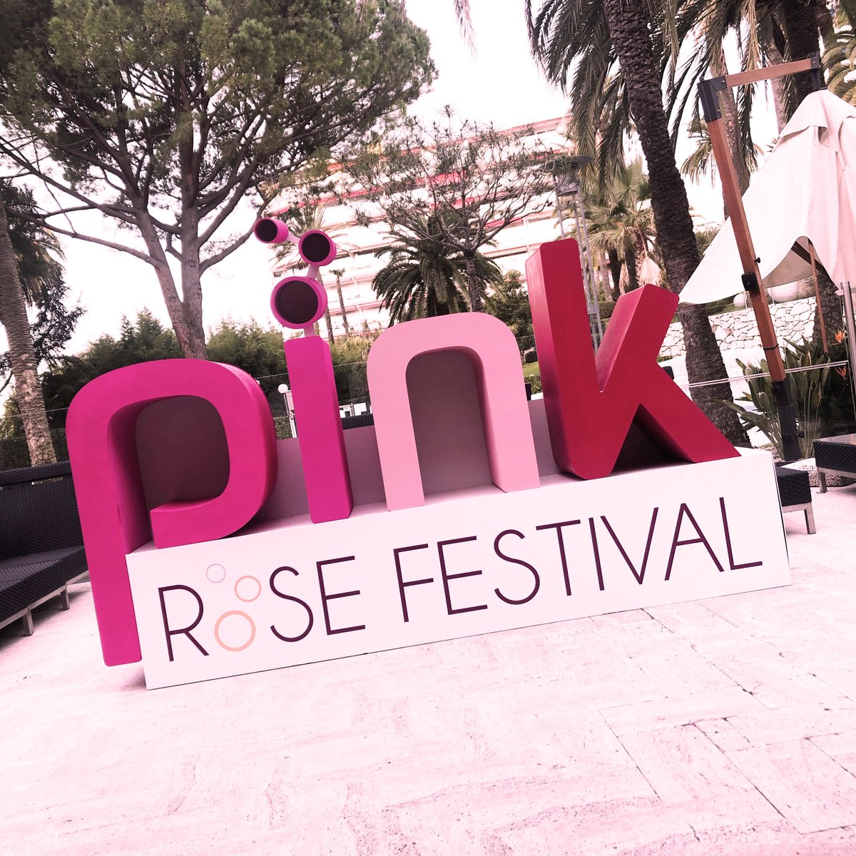 Welcome to the #PinkRoseFestival 2020 !!