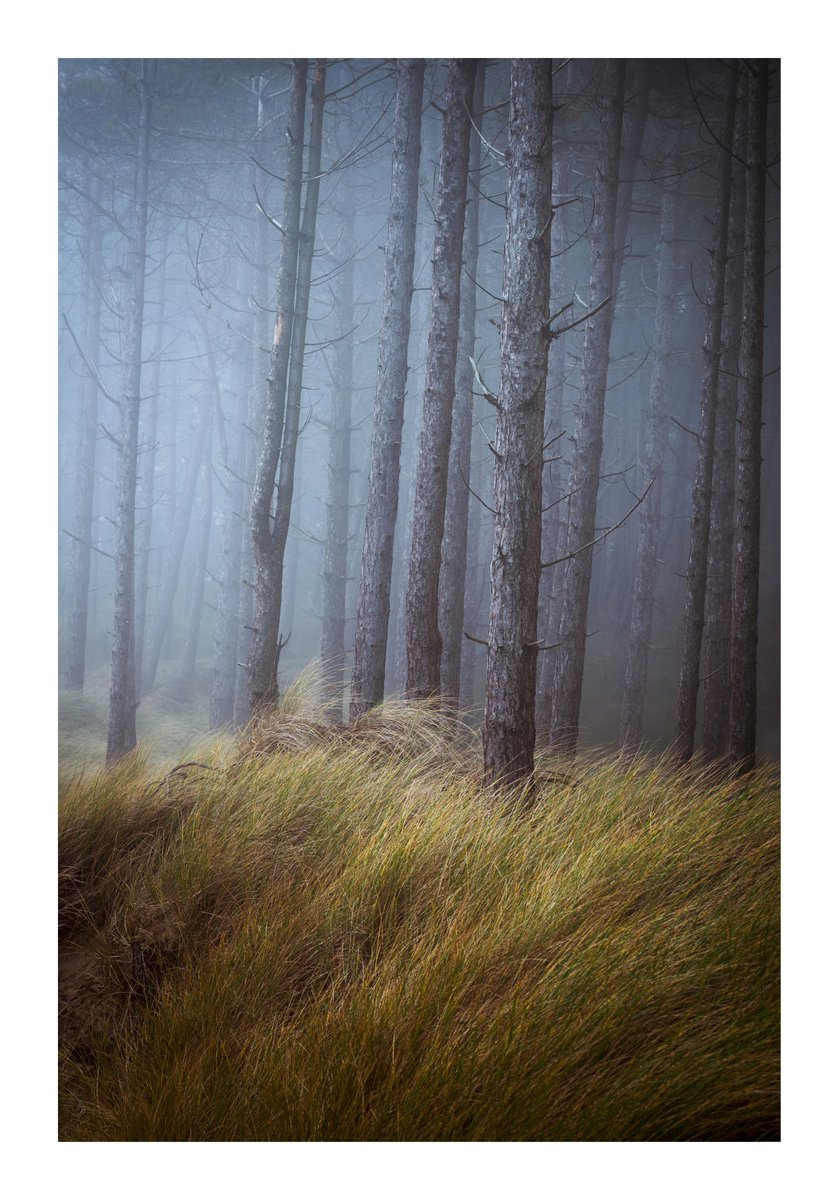 EddAllenPhoto's tweet photo. Still going through my Wales photos. Here's four more! Newborough Beach, Dinorwic, Llyn y Dywarchen and Dinorwic again!
#ThePhotoHour #northwales #anglessey #snowdonia #appicoftheweek @NPhotomag @OPOTY https://t.co/mjG8dS4Qg9