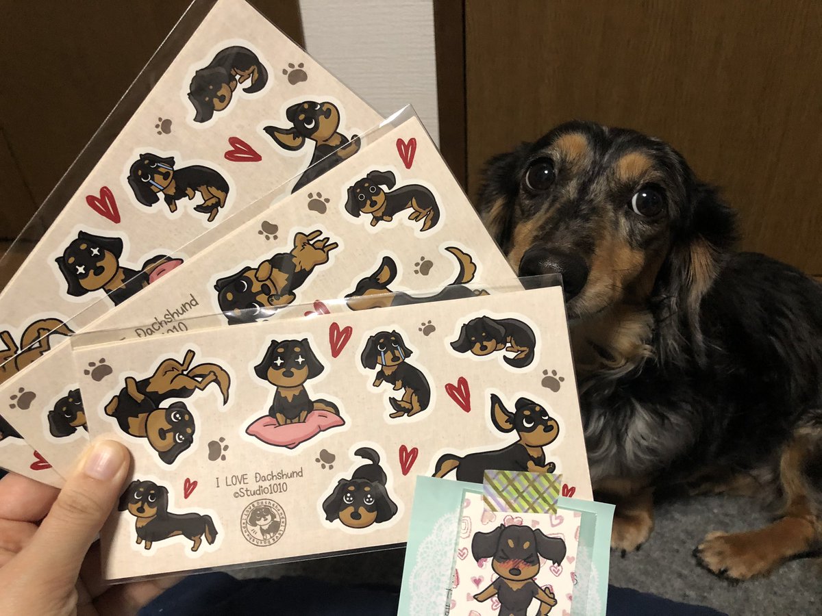 milky_quill's tweet image. あーーーー可愛い可愛い❤️
大好きで愛用しているダックスのLINEスタンプ　作家さんがステッカーを販売してらしたので即購入してしまった🐶

直筆のメッセージまで😭

最近柴犬とかのグッズ多いけど、こんな可愛いダックスグッズないのでめっちゃ嬉しい♪

#ダックス
#ダックス大好き