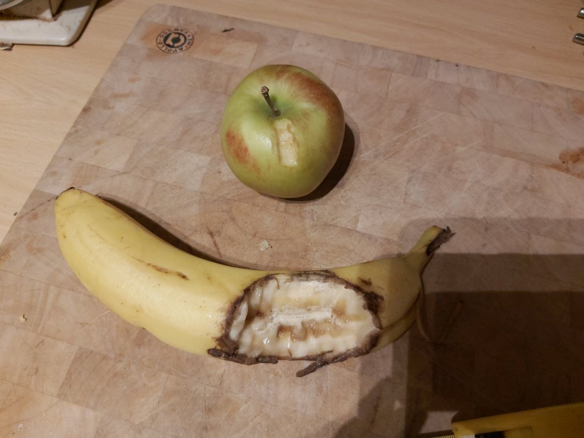 handsomeericbun's tweet photo. #csimummy launched a crime scene examination this morning when she found this banana & apple
She was quite panicked. She went to work at her forensics department & the prime suspect is ME??? LITTLE TINY ME. I cant get up there Help! #ednaisinnocent #bunob https://t.co/RU9Gr0UC9E