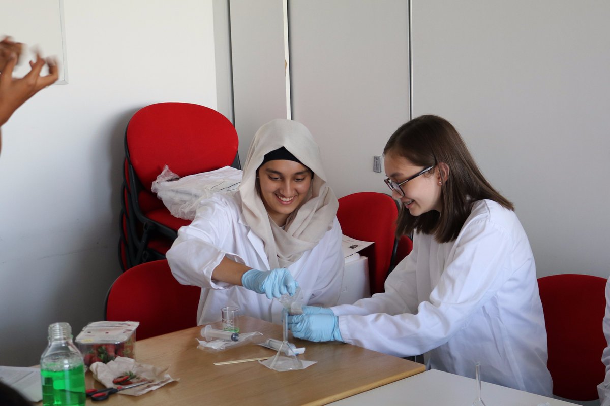 Students extracting DNA from a strawberry