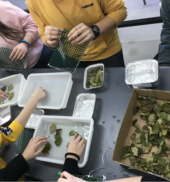 LivingRiver tweet media