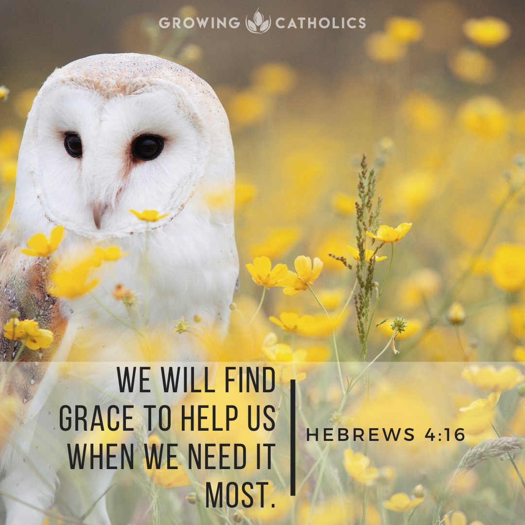 GCatholics's tweet photo. Grace - https://t.co/XWm436EoHS
#bible #scripture #quoteoftheday https://t.co/sKxJkWVBrf