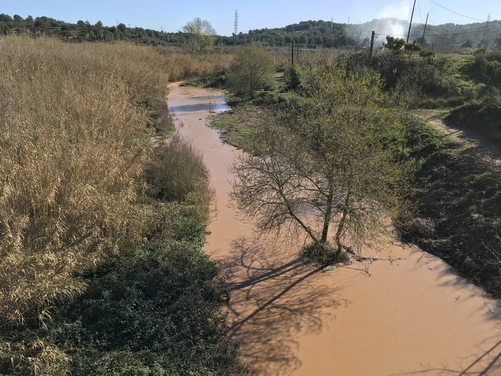 El Gaià aigües avall de la Riera de Gaià