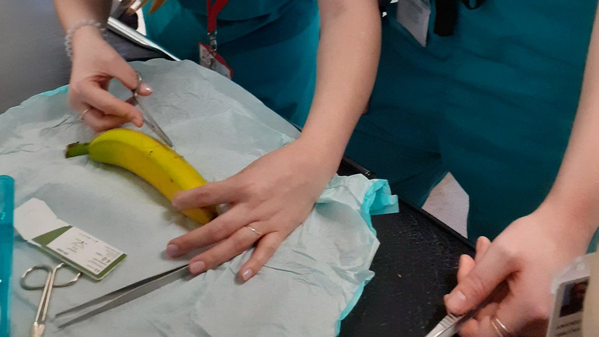 ed_tuh's tweet image. Meanwhile our more junior NCHD's are getting a 'bite' of the action at our #sutureworkshop this morning! banana skin #simulation and #deliberatepractice for this core skill.
