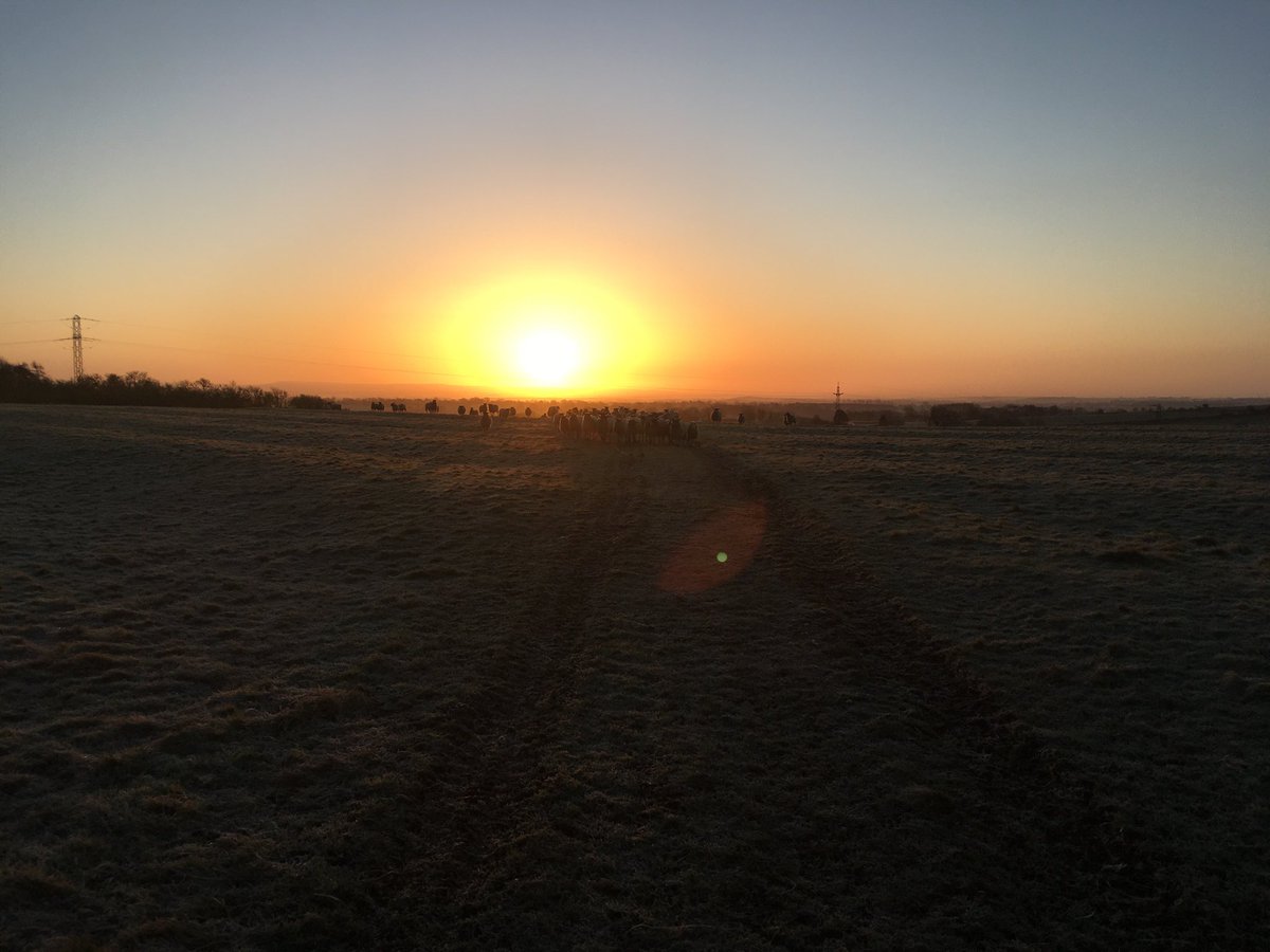 MediaReflection's tweet image. Early morning sunrise in the #YorkshireDales