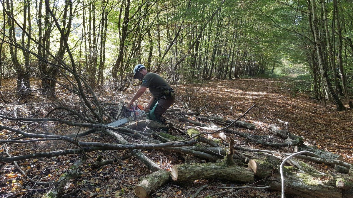 Les_Yvelines's tweet photo. #Environnement 🌳 Le Dispositif #EcoGarde est un dispositif bénévole unique en France pour la protection des espaces naturels au service du département des Yvelines. En 2019, ils ont réalisé 280 interventions forestières.
Retour sur leurs actions.
➡️ https://t.co/2XCEi3JK6T https://t.co/7A9tykOpQ2