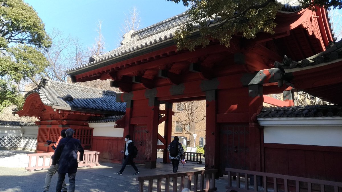 junjouaction's tweet photo. 出張で東京銀杏大学（無臭） https://t.co/Q08udCjO3s