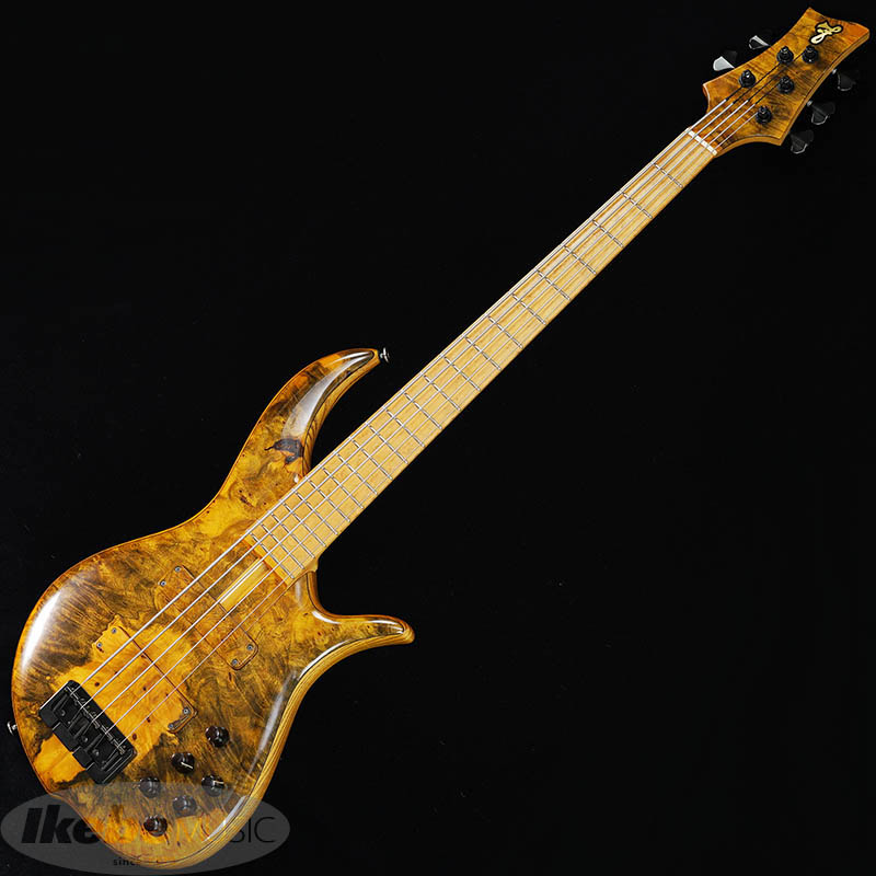 良質なジャズベースのフィーリングを持った優れた5弦ベース、極上