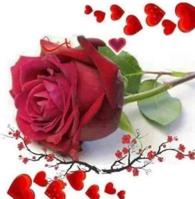 RawaaRaad5's tweet photo. @LayalFarhat3 https://t.co/iz4GGeqEfj