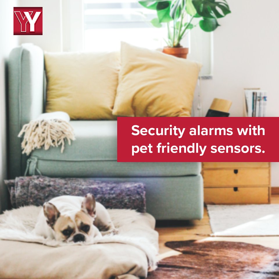 YYSecurity1's tweet photo. Get advice on pet-friendly security alarms by giving us a call today.

Tel:  0203 301 4559
https://t.co/U6Flz82VwQ

#homesecurity https://t.co/6ksE4JKd8m