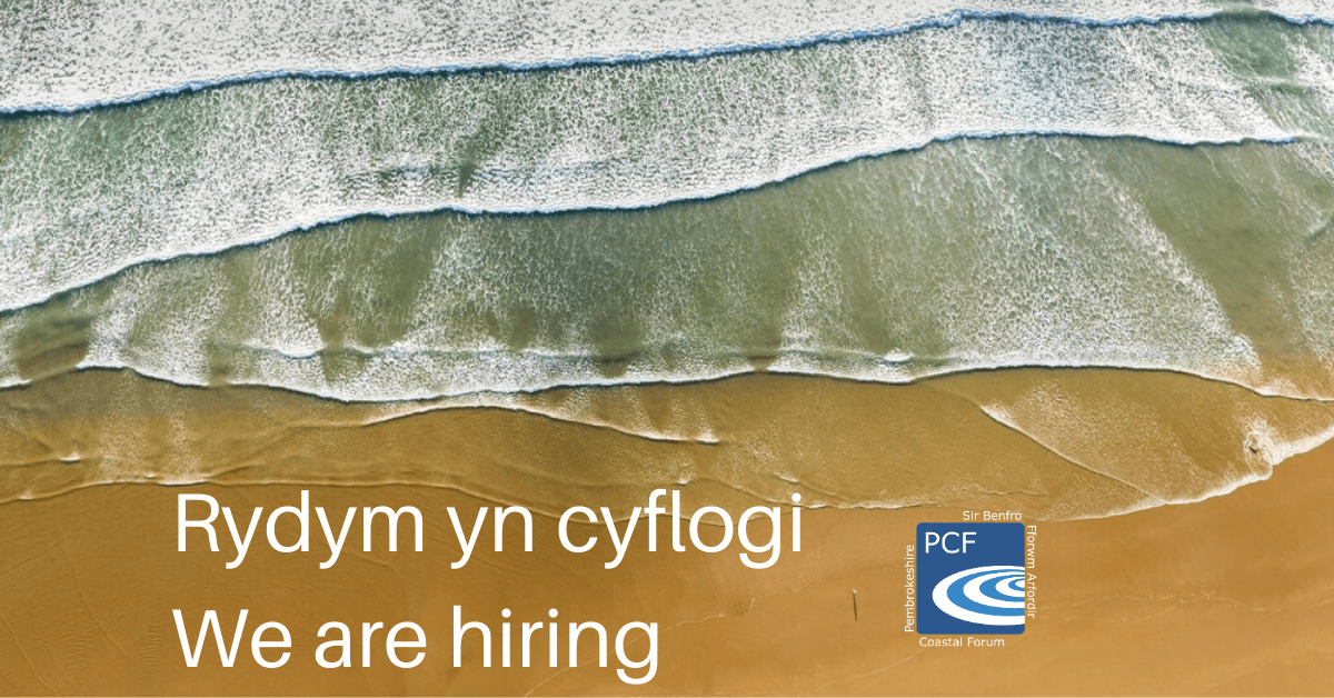 Final call for applications! We are looking for an experienced and enthusiastic marketing manager to join our team in Pembroke Dock, and the deadline for applications is tomorrow (Friday) at midday. If you are interested, visit our website for details: buff.ly/2N6ENUx
