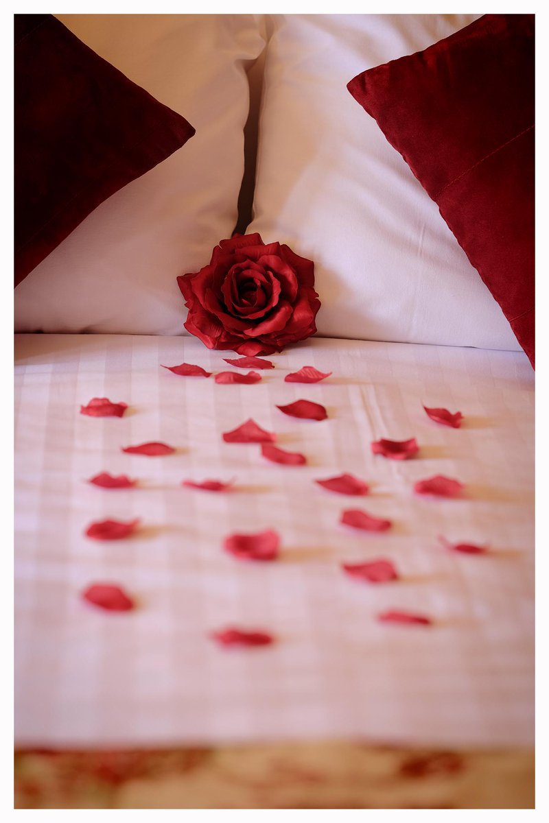 Rackethallhotel's tweet photo. Treat your loved one this Valentine's with a Romantic Getaway Break ❤️
@OriginalIrishHt 
#ValentinesDay2020 #OriginalIrishThursday #LoveIsInTheAir https://t.co/vh9xJhCZJK