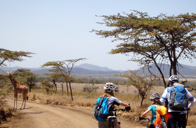 RVAdven's tweet image. Some things are worth stopping for even on an #mtbchallenge ...
#10to4 #beatthisview #getoutdoors #mtbexpedition #mtbkenya #giraffeontheroad #magicalkenya #learningthroughadventure