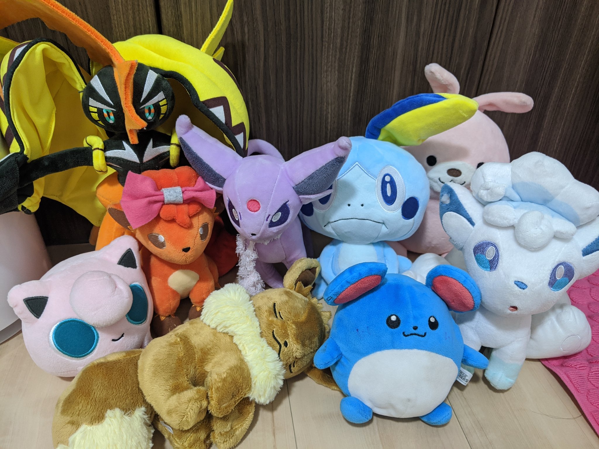 ししまるgame 家のポケモンぬいぐるみ大集合 ん 1匹違うwww Pokemon 間違い探し カプコケコ プリン ロコン イーブイ エーフィー マリル メッソン アローラロコン T Co Lv6uelhvuw Twitter