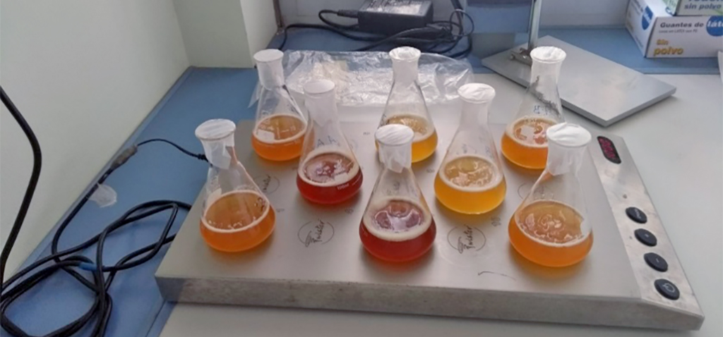 Cervecillass's tweet photo. Diseñan un método que analiza con más precisión los compuestos olorosos de la cerveza para mejorar su calidad... @univcadiz 
ℹ️ Más info: https://t.co/0KncGGXJu9 https://t.co/KLvjjY7U59