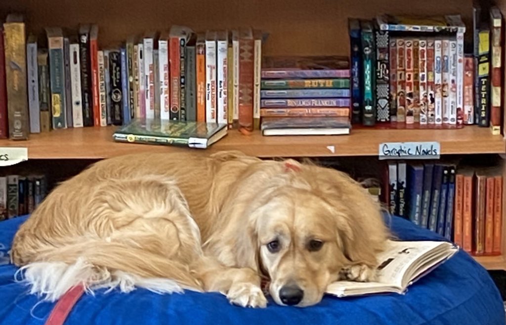 AnneDerogatis's tweet photo. Happy 3rd Birthday Jeter! We love you! ⁦@TanyaEMcDonald⁩ ⁦@scotthade⁩ ⁦@SHS_M_A_P_S⁩ https://t.co/LXvK79Y8zB
