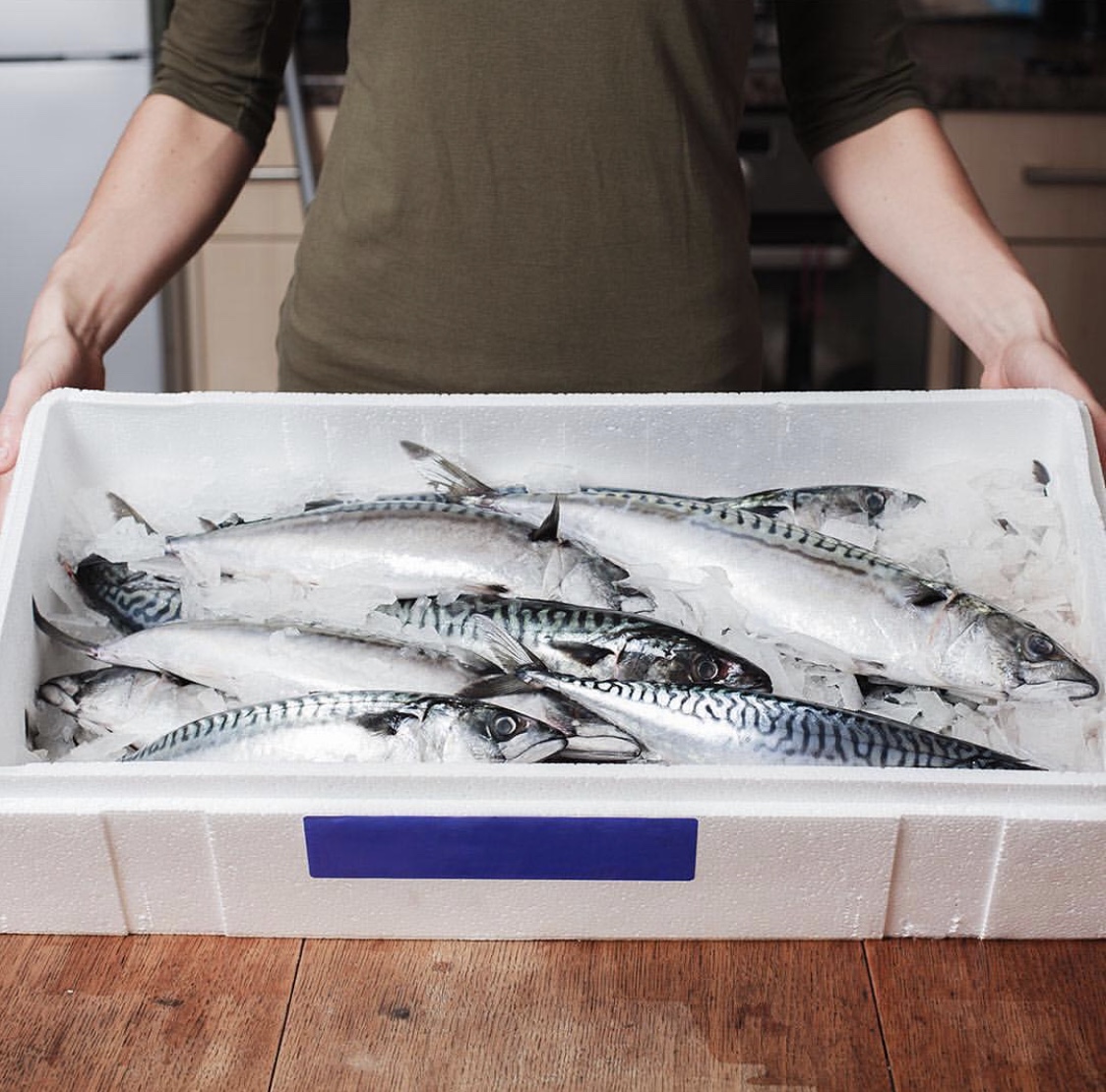 Dockside Seafood tweet media