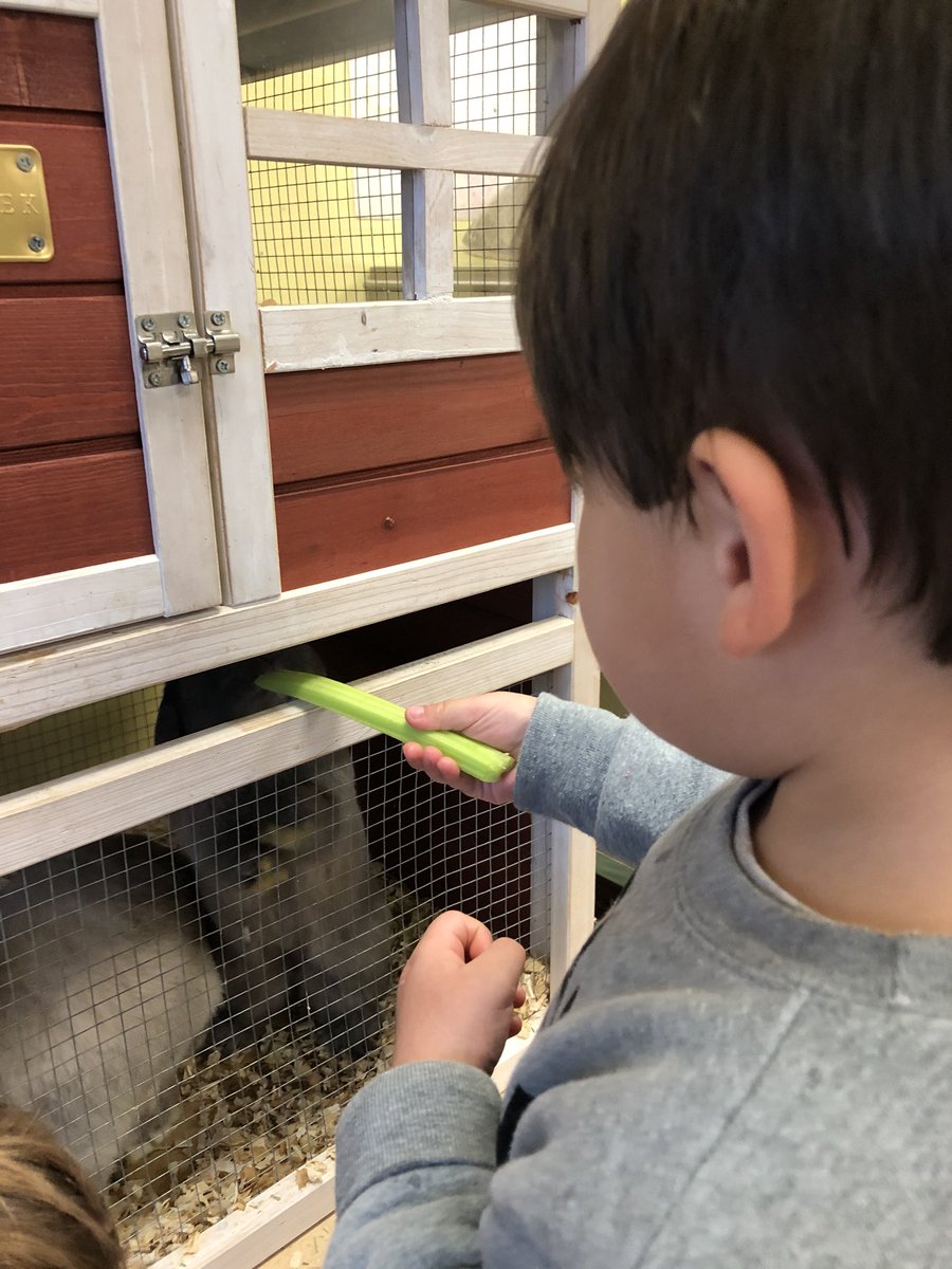 Kim Holbrook tweet media