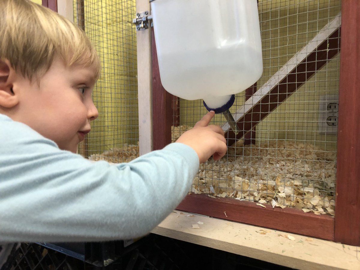 Kim Holbrook tweet media